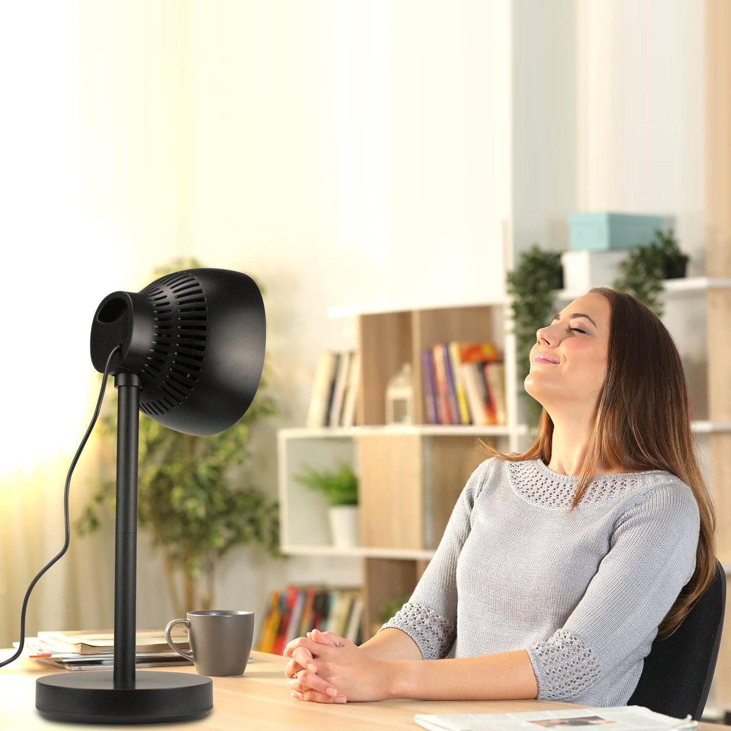 Desk & Floor Multifunctional Fan Heater-3