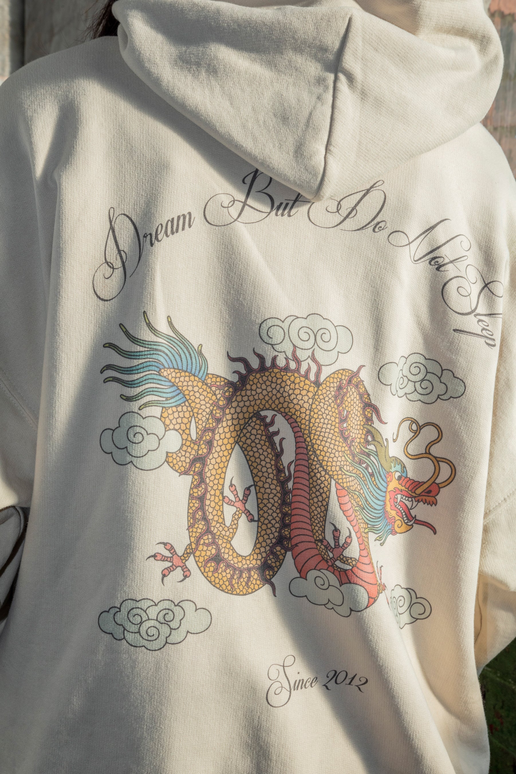 Hoodie in Sand With Chinese Dragon Print-3