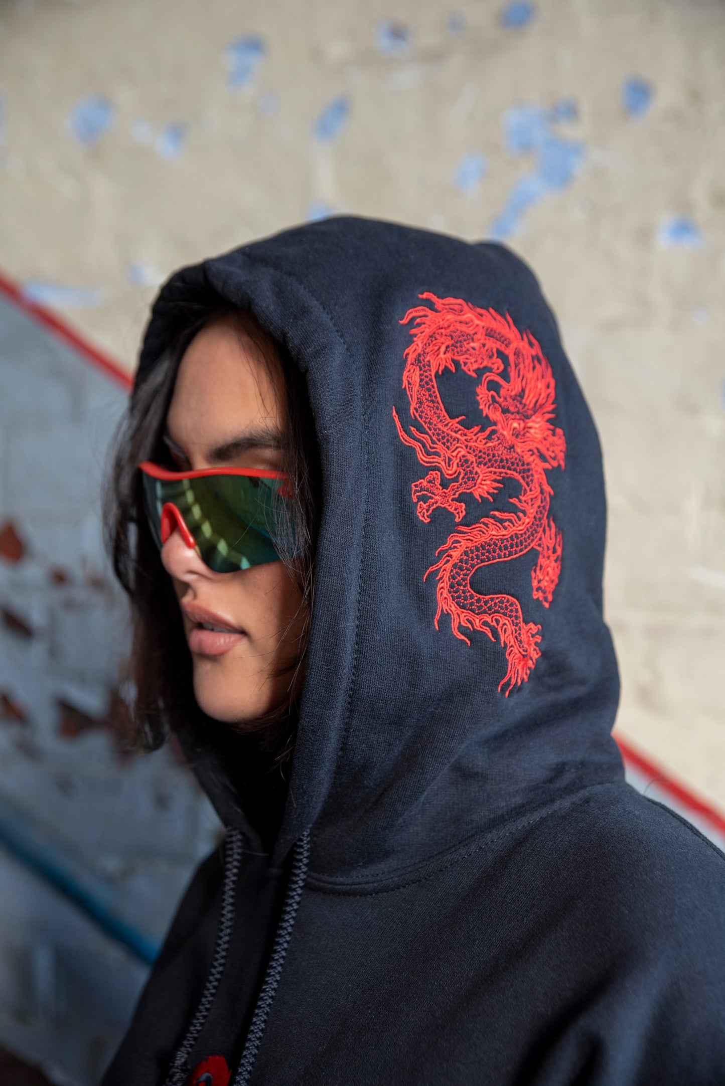 Hoodie in Black with Red Dragon Embroidery-4