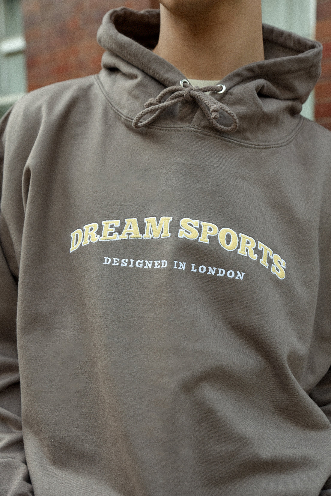 Hoodie in Mocha Brown with Dream Sports Embroidery-2