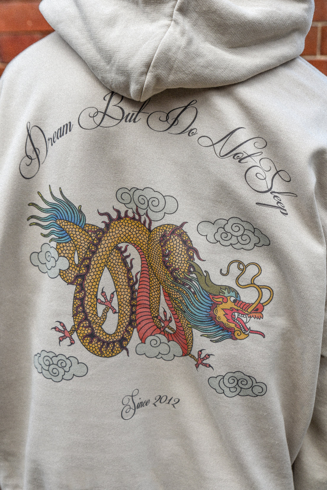 Hoodie in Sand with Chinese Dragon Print-2