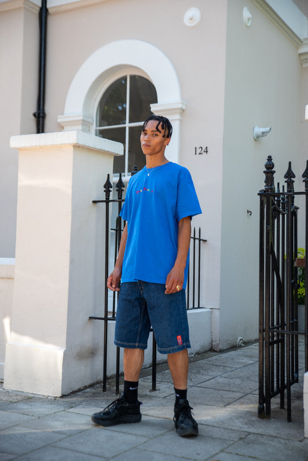 Short Sleeved T-Shirt in Royal Blue with Dream Sports Embroidery-3