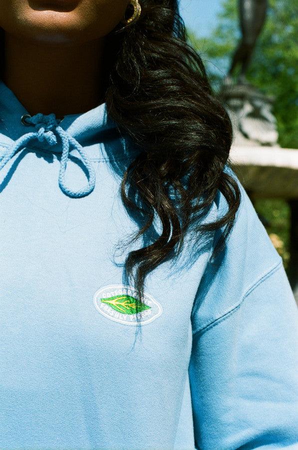 Hoodie in Cornflower Blue with Fruit Sticker Embroidery-3